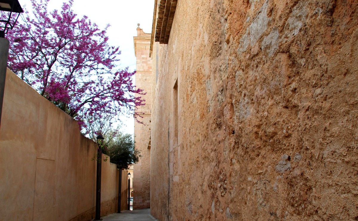 callejon-castillo-interior-flores